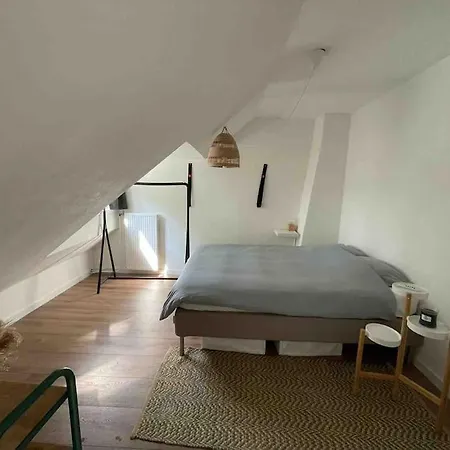 Cozy Close To The Dunes And The * Zandvoort