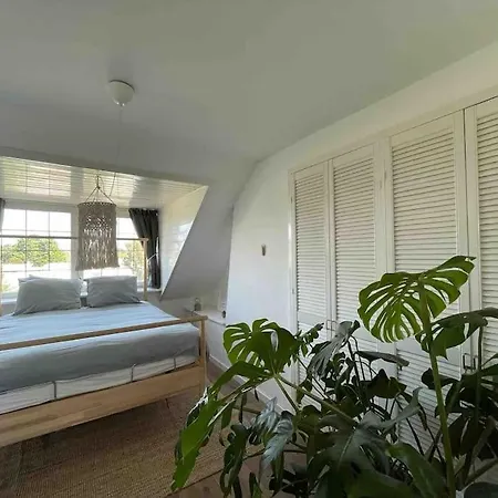 Cozy Close To The Dunes And The Zandvoort