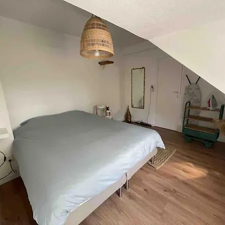 Cozy Close To The Dunes And The Apartment